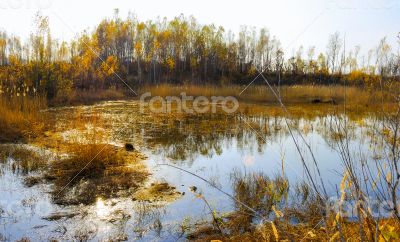 Pure lake Pure lake