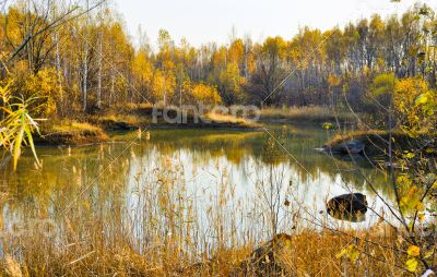 Pure lake Pure lake