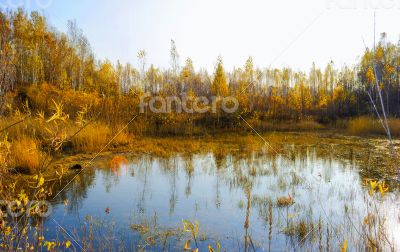 Pure lake Pure lake