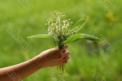 Lilies of the valley