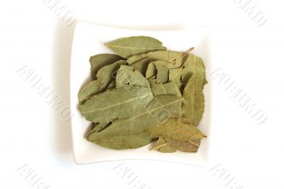 bye leaves in square white bowl isolated