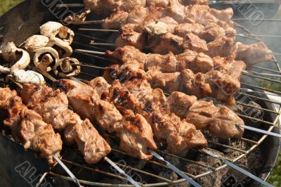 Meat kebabs shashlyk on a barbecue