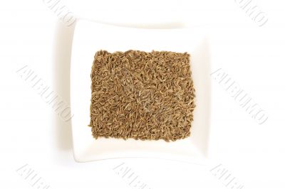 dill seeds in square white bowl isolated
