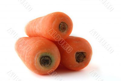 carrots on the background clouseup
