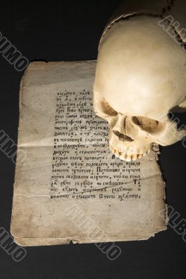 skull and old paper