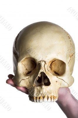 skull on the hand