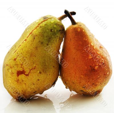 Two pears