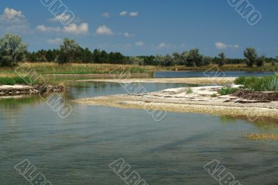 Landscape. Wood lake