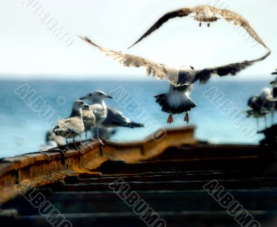 Take freedom - you will receive love