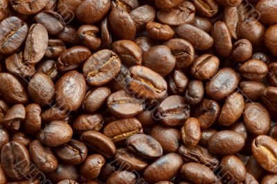 coffe beans texture 2