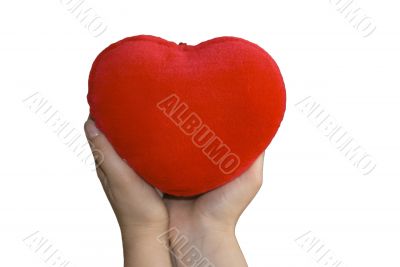Heart in Two Hands