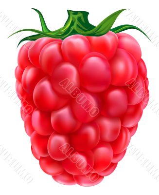 Fresh raspberry