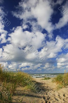 Trail to the Beach