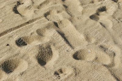 Footprints in the sand.