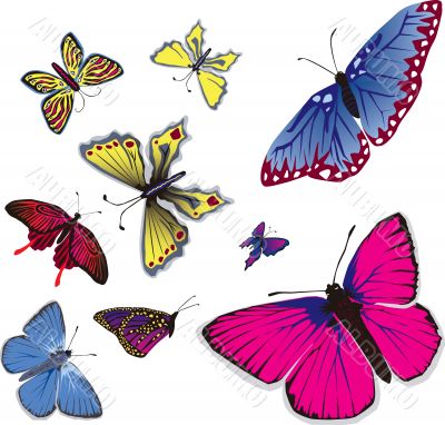 Flying Butterflys