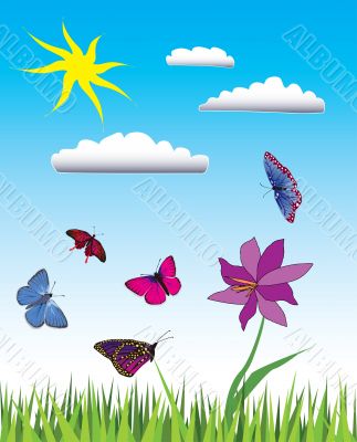 Flying butterflies