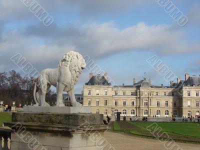 Paris. In Luxembourg to a garden.