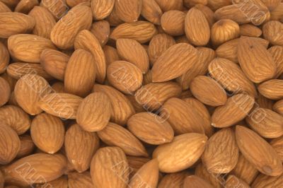Lot of almonds