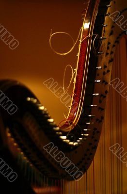 Detail of harp