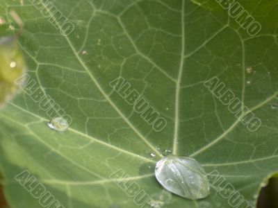 drop of water