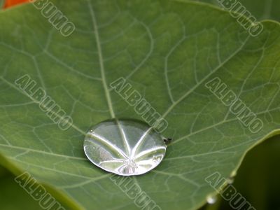 drop of water