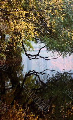 Park lake in the autumn