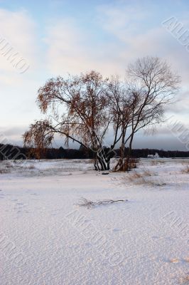 Autumn morning after a snow storm