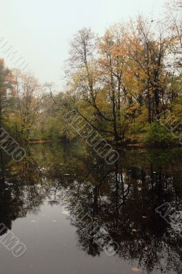 Autumn park with lake in a fog
