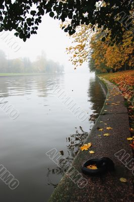 Foggy day in city park