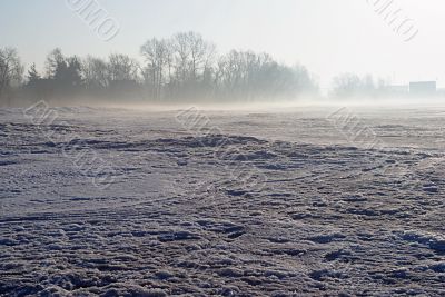 Frosty, spring morning