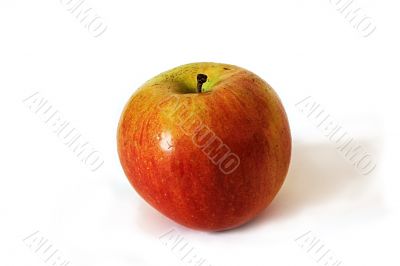 Red apple on a white background