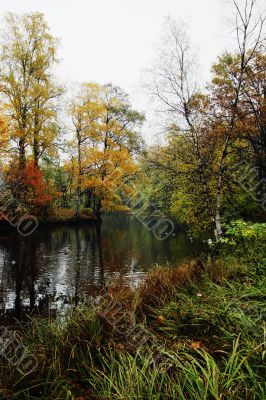 Lake in old park in the autumn