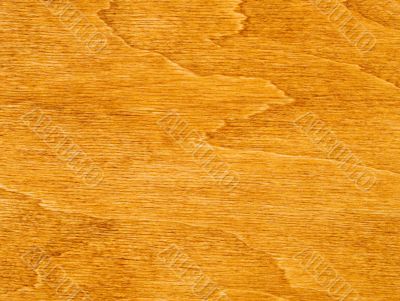 Natural wood texture