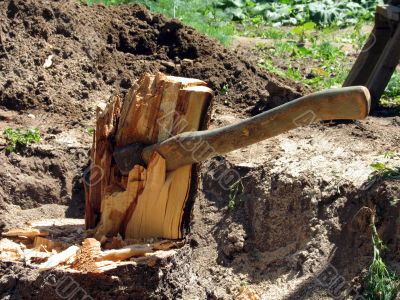 The stub of a tree and axe of the woodcutter