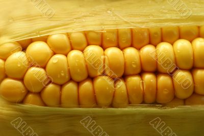 Wet corn