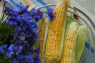 Cornflowers and corn