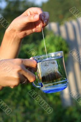 Tea in the bag