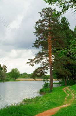 Along shore