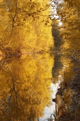 autumn tints