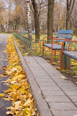 Autumn