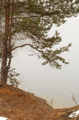 Late autumn nature