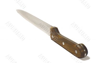 carving-knife