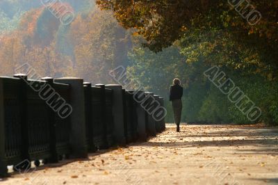Autumn walk