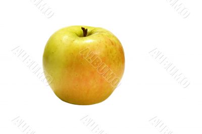 crab apple