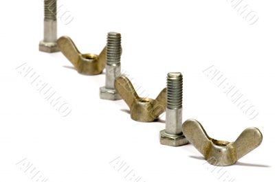 female screw with screw bolt