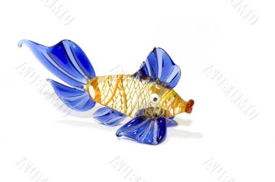 Glass Fish