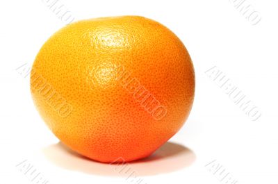 grapefruit