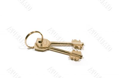 Key with ring