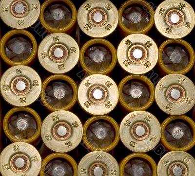 live cartridge