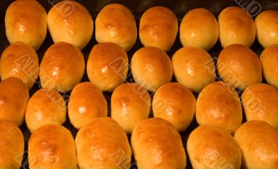  Pasty